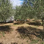 Camper Umma Parque de vacaciones Banjole