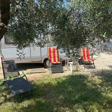 Camper Umma *