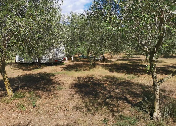 Camper Umma Feriepark Banjole