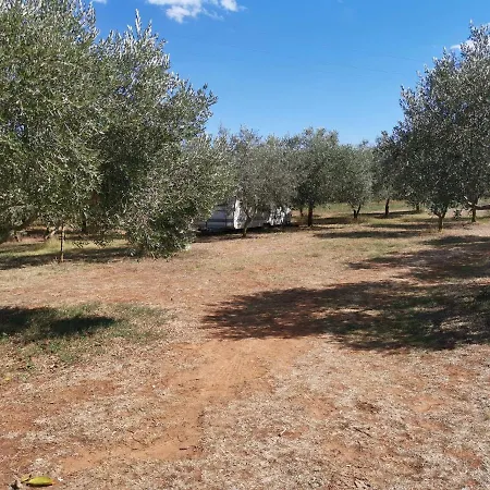 Camper Umma Prázdninový areál *